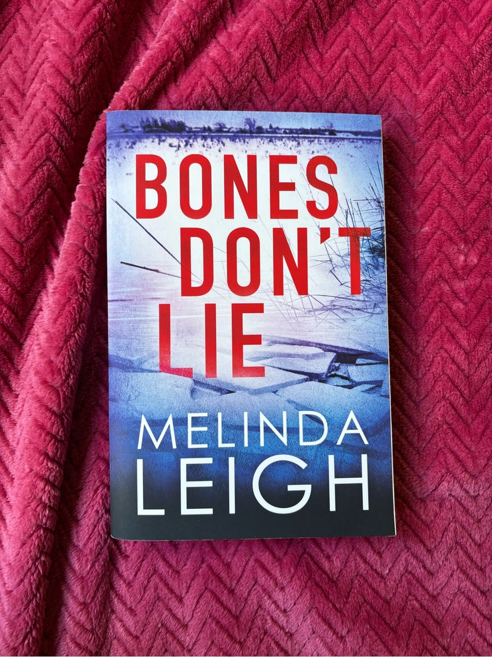 Bones Don't Lie by Melinda Leigh